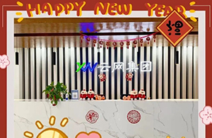 元春始風(fēng)華，萬象啟新朝|元旦快樂